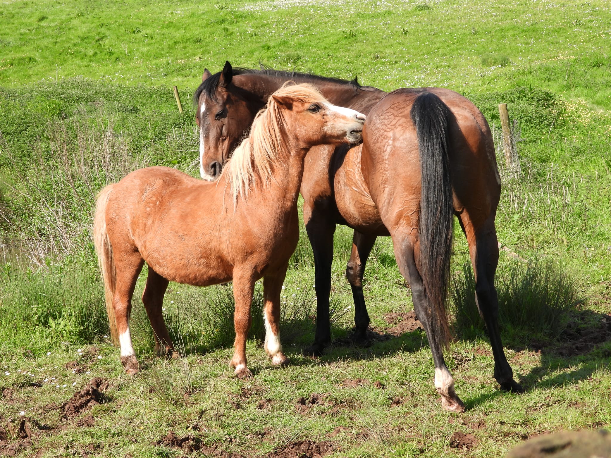 whatsapp image 2026 01 09 at 6.23.21 pm