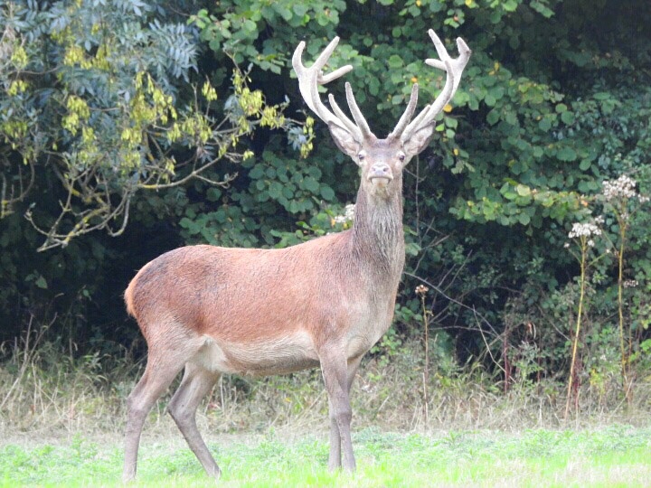 whatsapp image 2026 02 09 at 1.36.05 pm