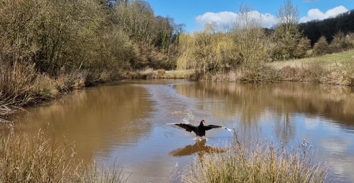 whatsapp image 2026 02 09 at 1.36.55 pm