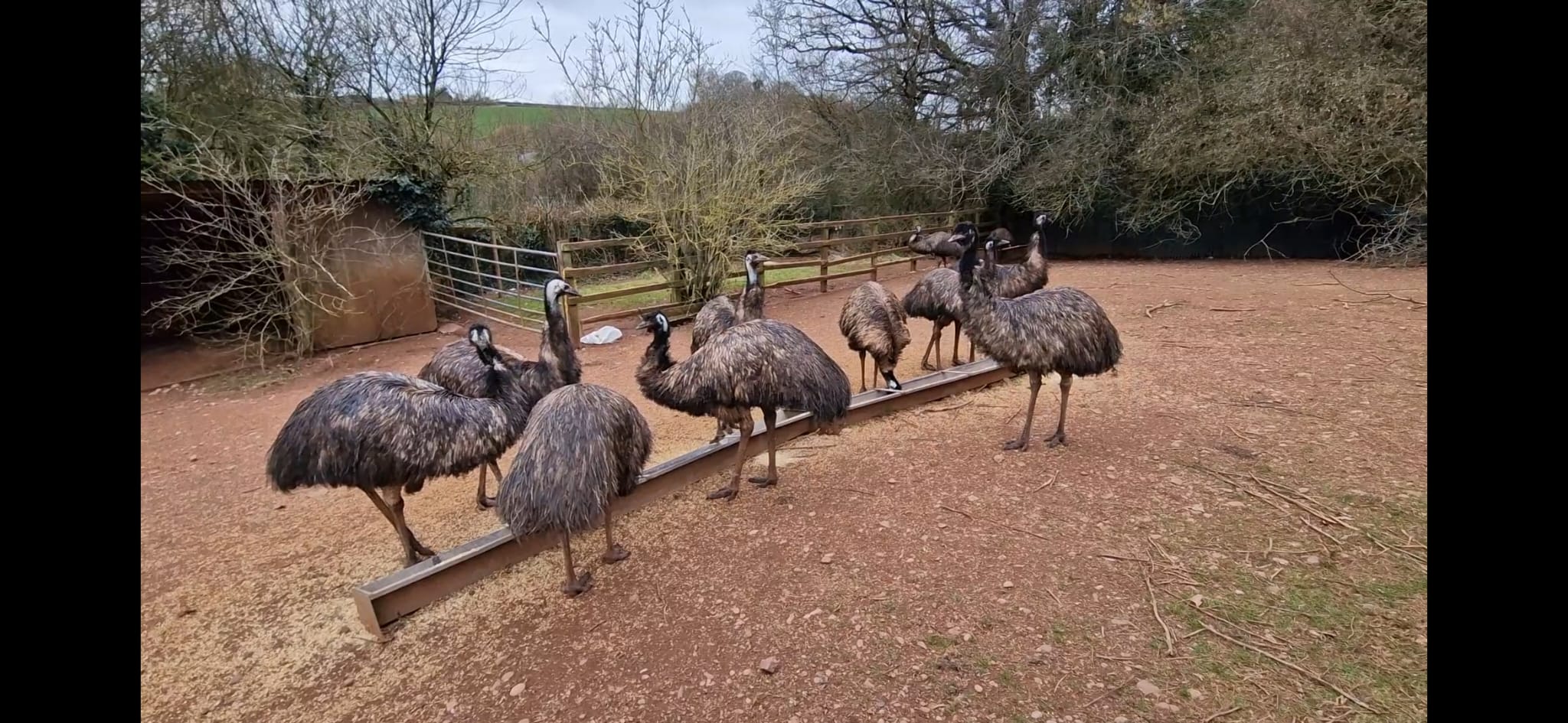 whatsapp image 2026 02 05 at 6.24.11 pm