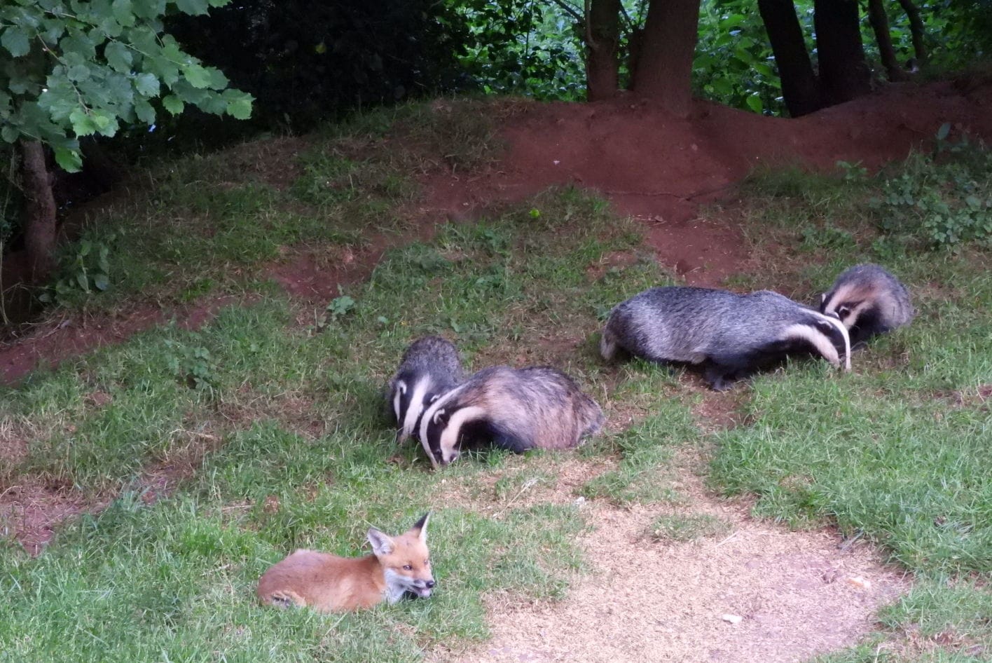 whatsapp image 2026 02 05 at 7.13.13 pm