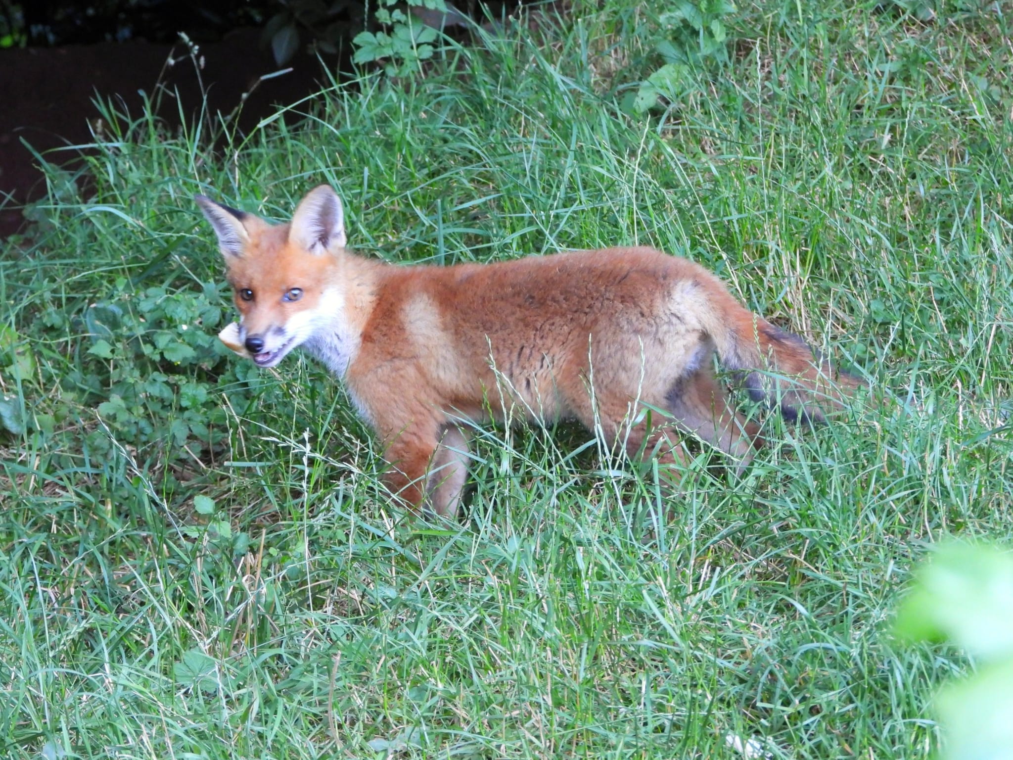 whatsapp image 2026 01 09 at 6.31.32 pm