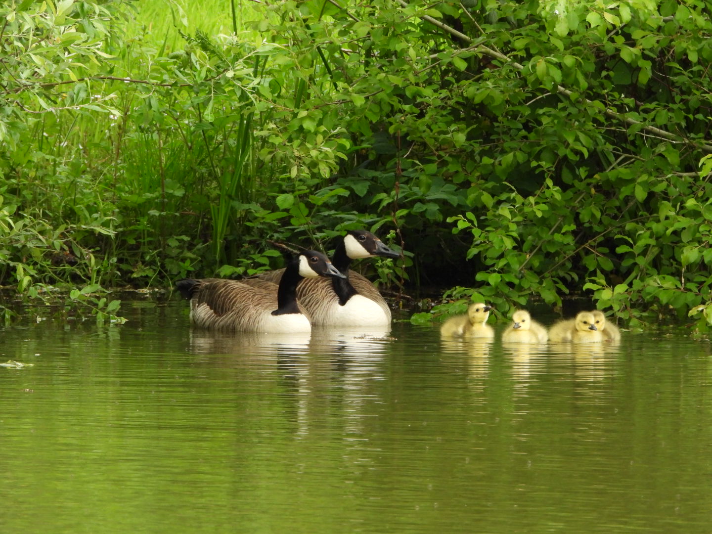 whatsapp image 2026 02 14 at 4.25.09 pm